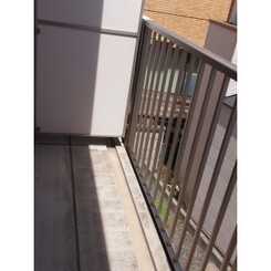 アムール エビスのサムネイル