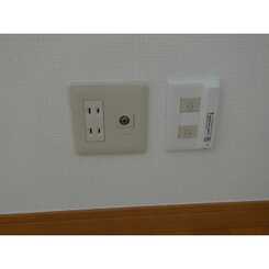 アムール エビスのサムネイル