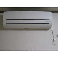 アムール Sunnyのサムネイル