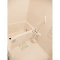 アムール MAYAのサムネイル