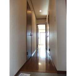 アムール MAYAのサムネイル