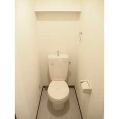 アムール MAYAのサムネイル