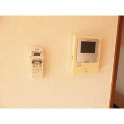 アムール MAYAのサムネイル