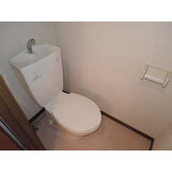 アムール エル ダンジュのサムネイル