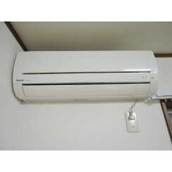 アムール エル ダンジュのサムネイル