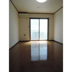 アムール エル ダンジュのサムネイル