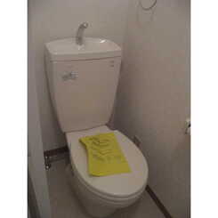 アムール ジョリコリーヌのサムネイル