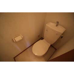 アムール 右京のサムネイル