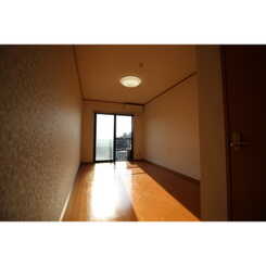 アムール 右京のサムネイル