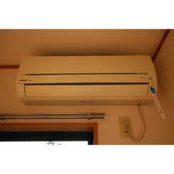 アムール 右京のサムネイル