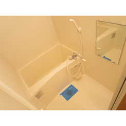 アムール 右京のサムネイル