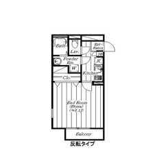アムール 右京のサムネイル