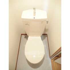 アムール Voyageのサムネイル