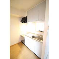 アムール川口’08のサムネイル