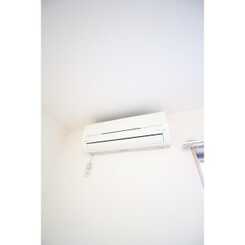 アムール川口’08のサムネイル