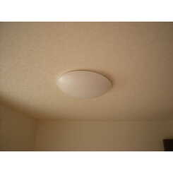 アムール　koganeiのサムネイル