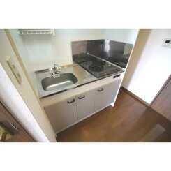 アムール SHINYAのサムネイル