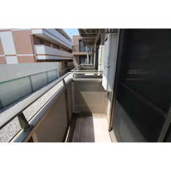 アムール SHINYAのサムネイル