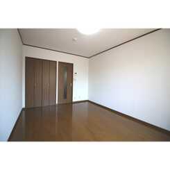 アムール SHINYAのサムネイル