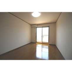 アムール SHINYAのサムネイル