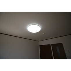 アムール SHINYAのサムネイル