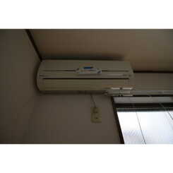 アムール SHINYAのサムネイル