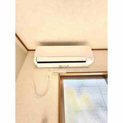 アムール SHINYAのサムネイル