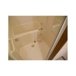 アムール日の森のサムネイル