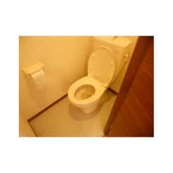 アムール日の森のサムネイル