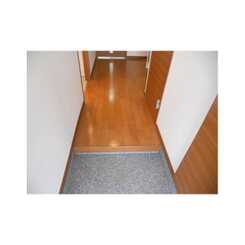 アムール日の森のサムネイル