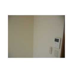 アムール日の森のサムネイル