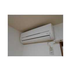 アムール日の森のサムネイル