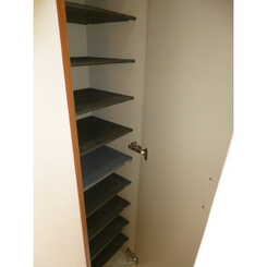 アムール日の森のサムネイル