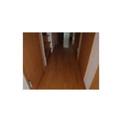 アムール 青葉のサムネイル