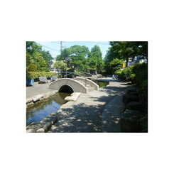 アムールブリアントのサムネイル