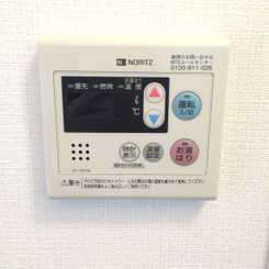 アムール イシダのサムネイル