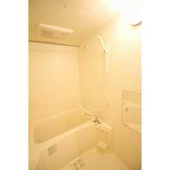 アムール Vert Uのサムネイル