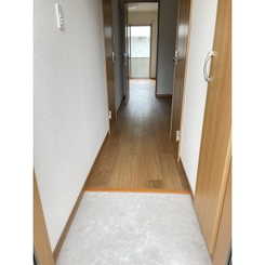 アムール HarutaAのサムネイル