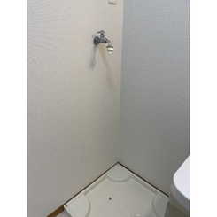 アムール HarutaAのサムネイル