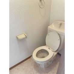 アムール HarutaAのサムネイル