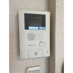 アムール HarutaAのサムネイル