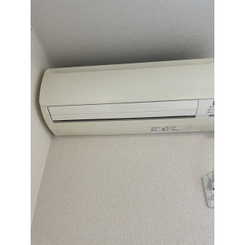 アムール HarutaAのサムネイル