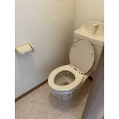 アムール HarutaAのサムネイル