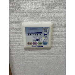 アムール HarutaAのサムネイル