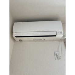 アムール HarutaAのサムネイル