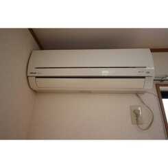 アムール Senのサムネイル