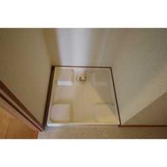 アムール Senのサムネイル