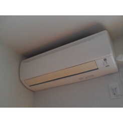 アムール ショシュールのサムネイル