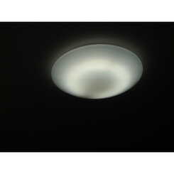 アムール ショシュールのサムネイル