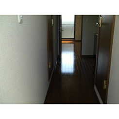 アムール ショシュールのサムネイル